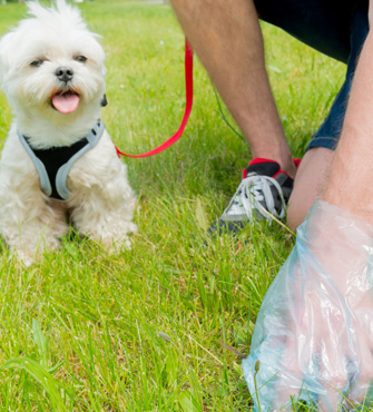 Compostable Pet Waste Bags