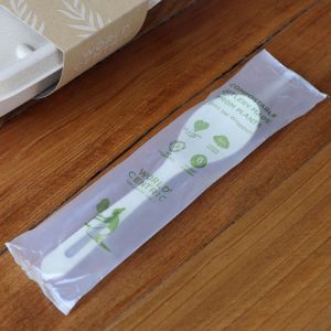 Compostable 6" World Centric tPLA Spoons Individually Wrapped for Catering, Takeout