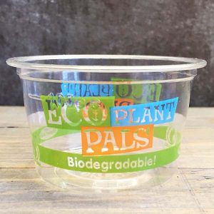 4 oz compostable cold cup with food serving example
