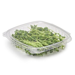 16 oz Compostable Deli Containers — Freezer-Safe Meal Prep - image 2