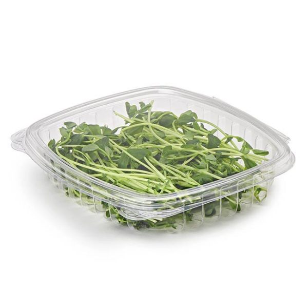 16 oz Compostable Deli Containers — Freezer-Safe Meal Prep - image 2