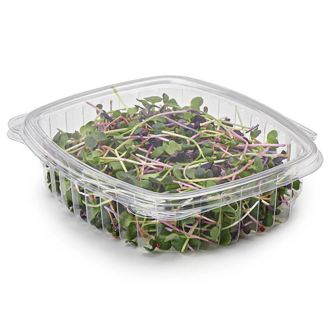 24 oz PLA Bioplastic Deli Containers for Foodservice & Catering - image 2