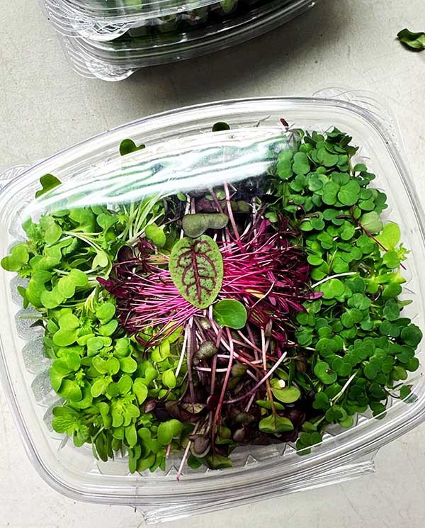 24 oz PLA Bioplastic Deli Containers for Foodservice & Catering - image 4