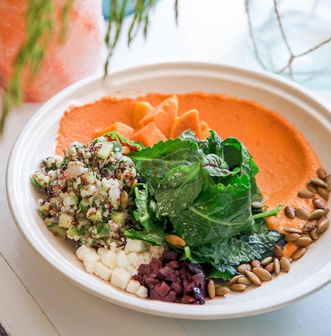 16 oz compostable fiber bowl alternate top-down view
