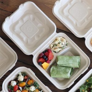 Compostable Fiber Clamshell Containers | 3-Compartment Layout | Home Plant Fiber
