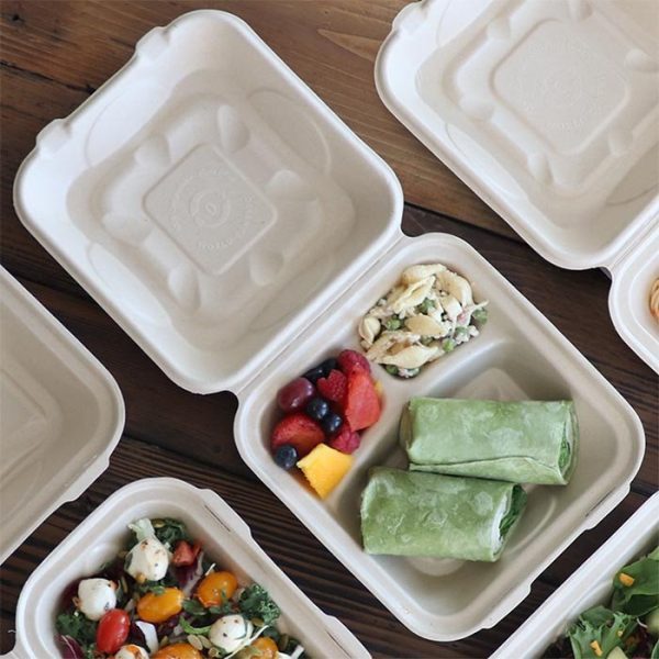 Compostable Fiber Clamshell Containers | 3-Compartment Layout | Home Plant Fiber