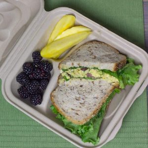 Bagasse Fiber Fiber Clamshell Containers for Takeout & Quick-Service - image 1
