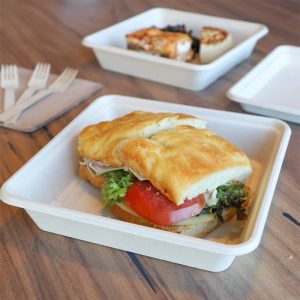 Bagasse Fiber Fiber Lunch Trays for Schools, Cafeterias & Catering - image 1