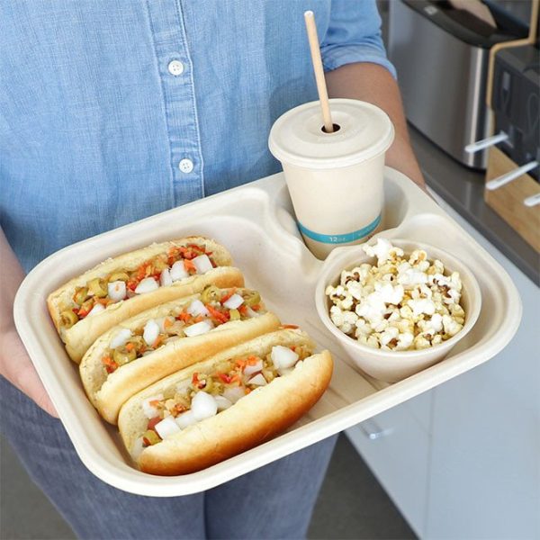 Compostable Fiber Lunch Trays, Hot Food Safe to 200°F - image 1
