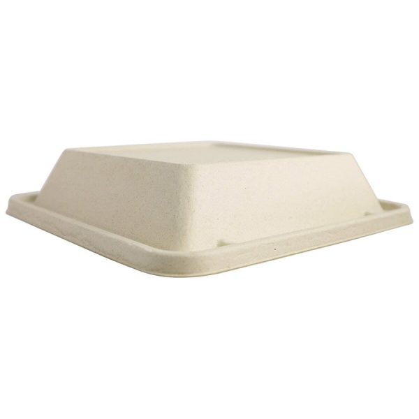 Bagasse Fiber Fiber Lunch Trays for Schools, Cafeterias & Catering - image 1
