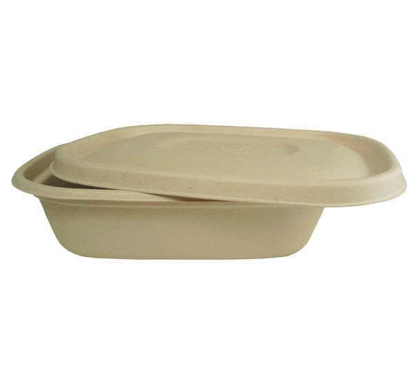 Compostable fiber to-go box size comparison chart
