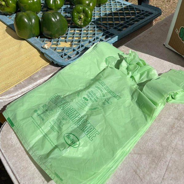 Bagasse Fiber Food Containers for Foodservice & Catering - image 1