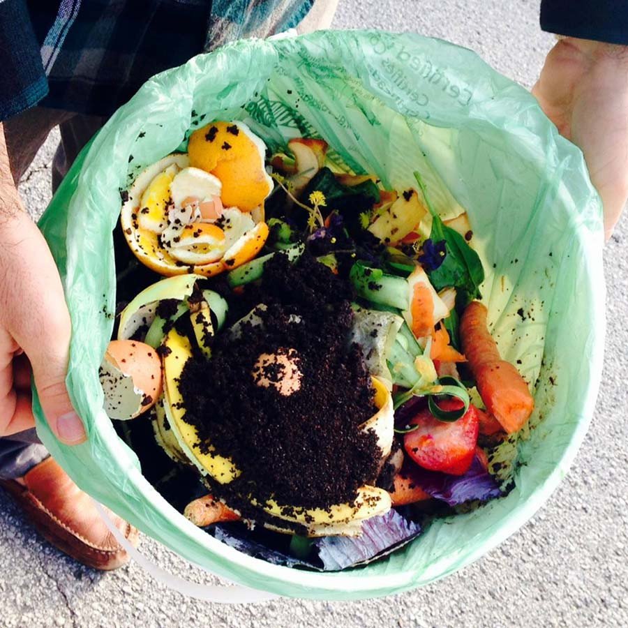 Sustainable Food Containers — Bagasse Fiber for Foodservice & Catering - image 5