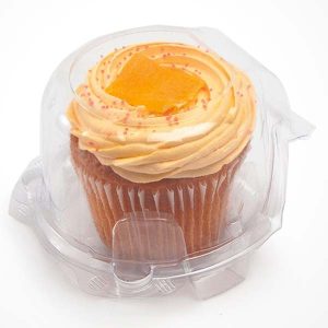 Compostable food container with food serving example