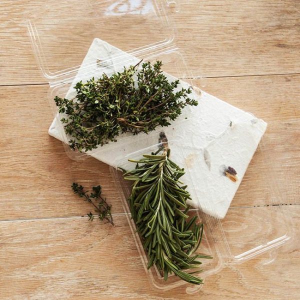 1 oz compostable food container, PFAS-free, single product shot
