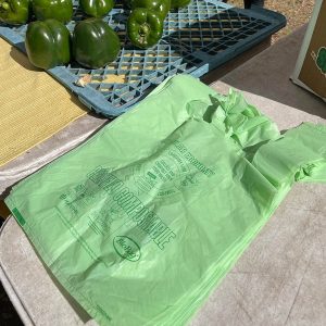 Compostable Food Containers, Hot Food Safe to 220°F - image 1