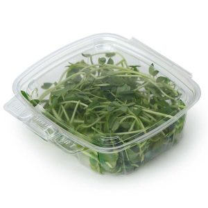 Hot Food to 220°F 12 oz Compostable Food Containers for Foodservice & Catering - image 1