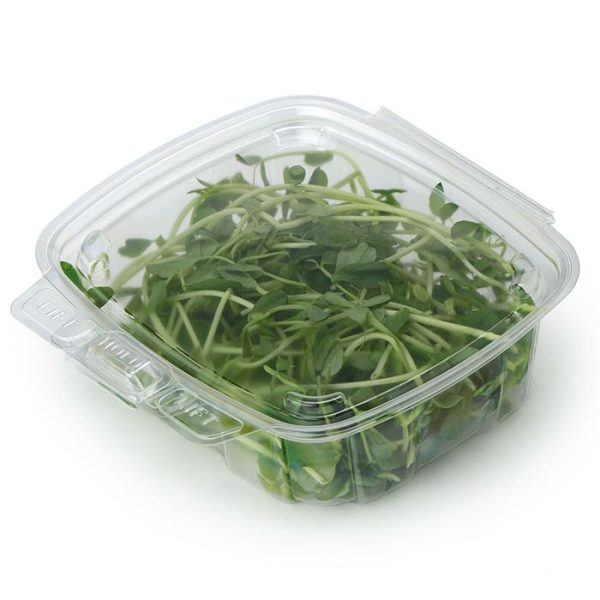 Hot Food to 220°F 12 oz Compostable Food Containers for Foodservice & Catering - image 1