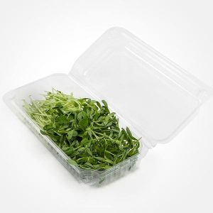 Sustainable 16 oz Food Containers — PLA Bioplastic for Foodservice & Catering - image 1