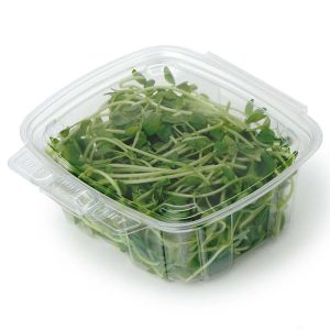 16 oz PLA Bioplastic Food Containers for Foodservice & Catering - image 1