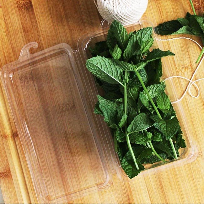 Hot Food to 220°F 3 oz Compostable Food Containers for Foodservice & Catering - image 2
