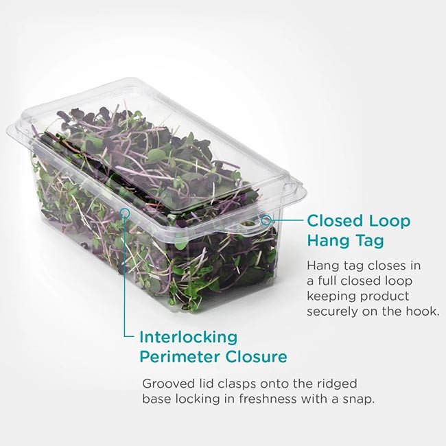 Hot Food to 220°F 3 oz Compostable Food Containers for Foodservice & Catering - image 5