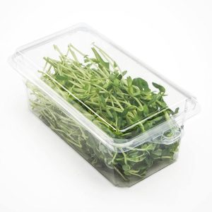 Hot Food to 220°F 3 oz Compostable Food Containers for Foodservice & Catering - image 1