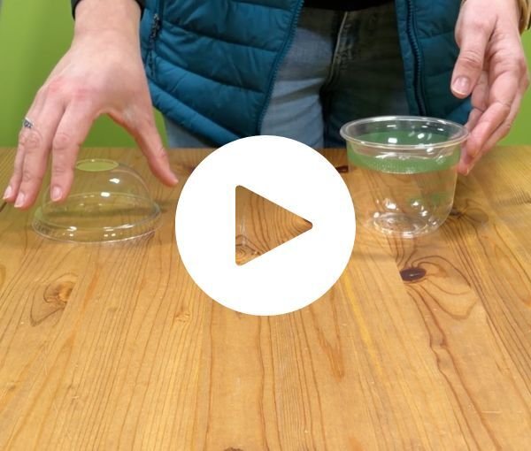 Hot Food to 220°F 3 oz Compostable Food Containers for Foodservice & Catering - image 4