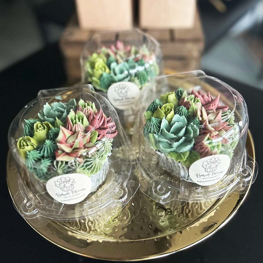 Compostable food container with matching lid