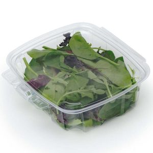 32 oz Compostable Food Containers — Hot Food Safe to 220°F - image 1