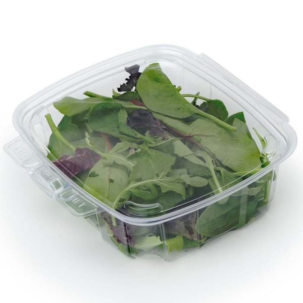 32 oz Compostable Food Containers — Hot Food Safe to 220°F - image 1
