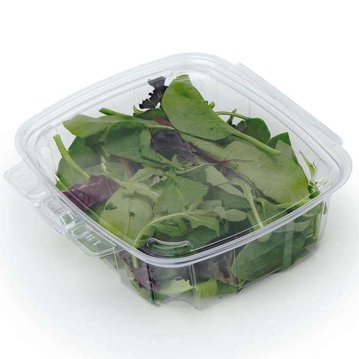 32 oz Compostable Food Containers — Hot Food Safe to 220°F - image 1