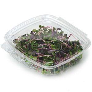 8 oz Compostable Food Containers | Freezer-Safe Meal Prep | Hot Food Safe to 220°F - image 1