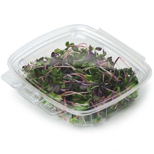8 oz Compostable Food Containers | Freezer-Safe Meal Prep | Hot Food Safe to 220°F - image 1