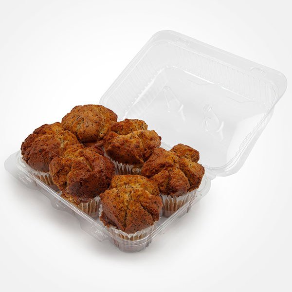 Compostable Food Containers, Hot Food Safe to 220°F - image 8