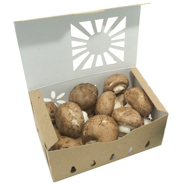 Compostable food container with food serving example
