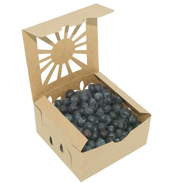 Compostable Food Containers — Hot Food Safe to 220°F - image 3