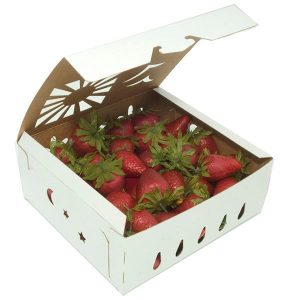Sustainable Food Containers — Kraft Paper for Foodservice & Catering - image 1
