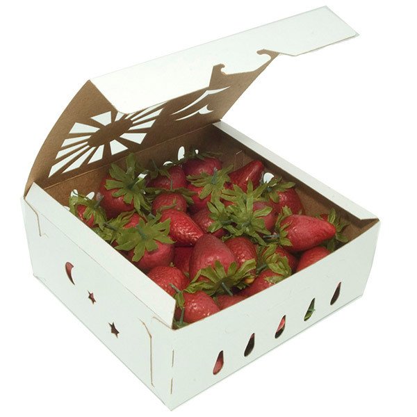 Sustainable Food Containers — Kraft Paper for Foodservice & Catering - image 1