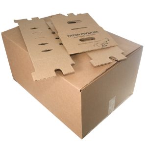 Sustainable Food Containers — Bagasse Fiber for Foodservice & Catering - image 1