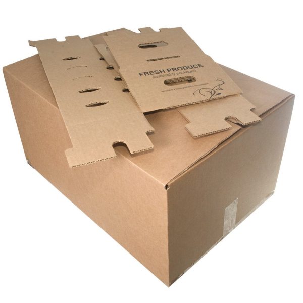 Sustainable Food Containers — Bagasse Fiber for Foodservice & Catering - image 1