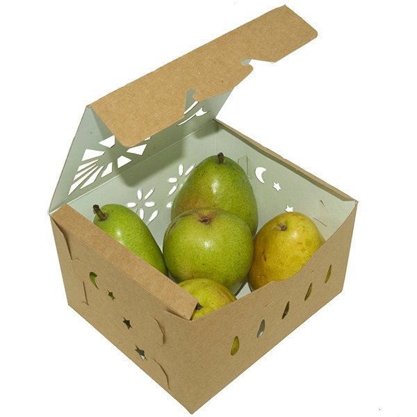 Compostable Food Containers for Foodservice & Catering - image 2