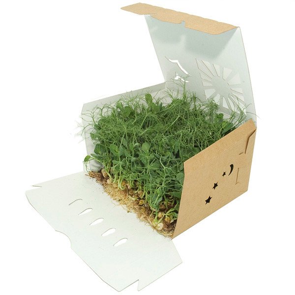 Compostable Food Containers for Foodservice & Catering - image 4