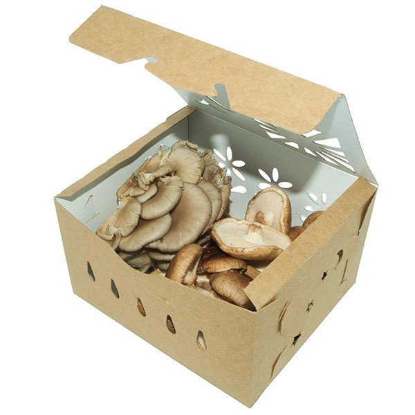 Compostable Food Containers for Foodservice & Catering - image 7