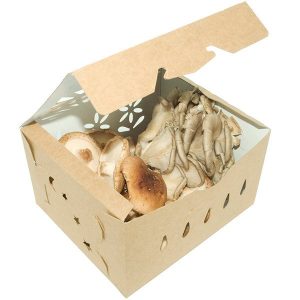 Compostable Food Containers for Foodservice & Catering - image 1