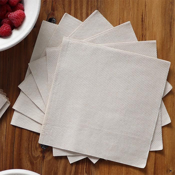 Compostable Napkins | Hot Food Safe to 220°F - image 2