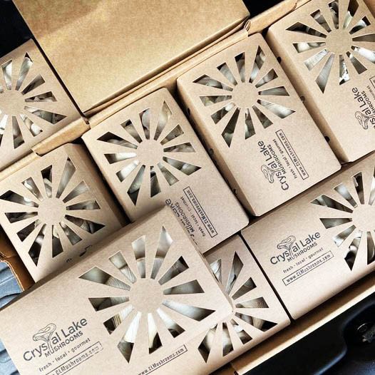 Compostable food container alternate top-down view