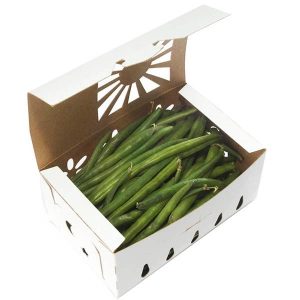 Compostable food container, PFAS-free, single product shot