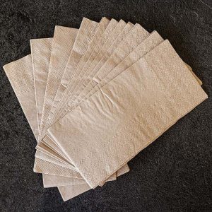 Compostable Napkins | Hot Food Safe to 220°F - image 1