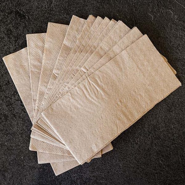 Compostable Napkins | Hot Food Safe to 220°F - image 1